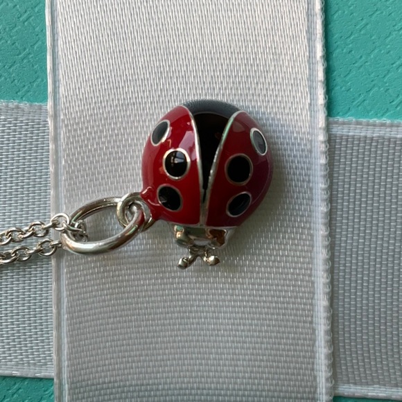 Tiffany & Co. Jewelry Tiffany Co Ladybug Charm Necklace Poshmark